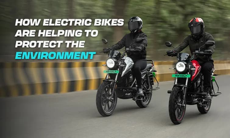 How Many Trees Can You Save by Switching to an Electric Bike